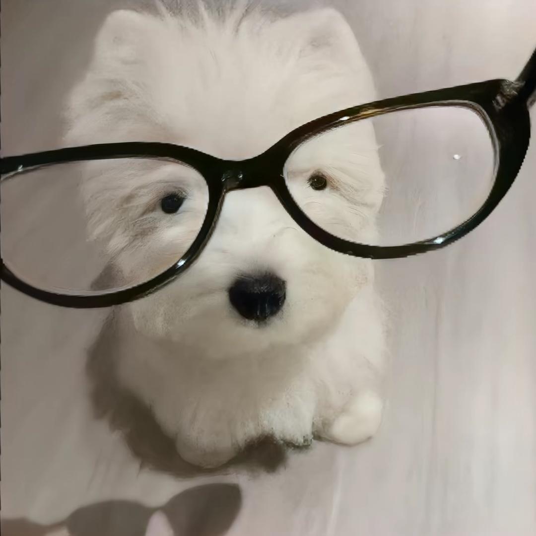 艺兮