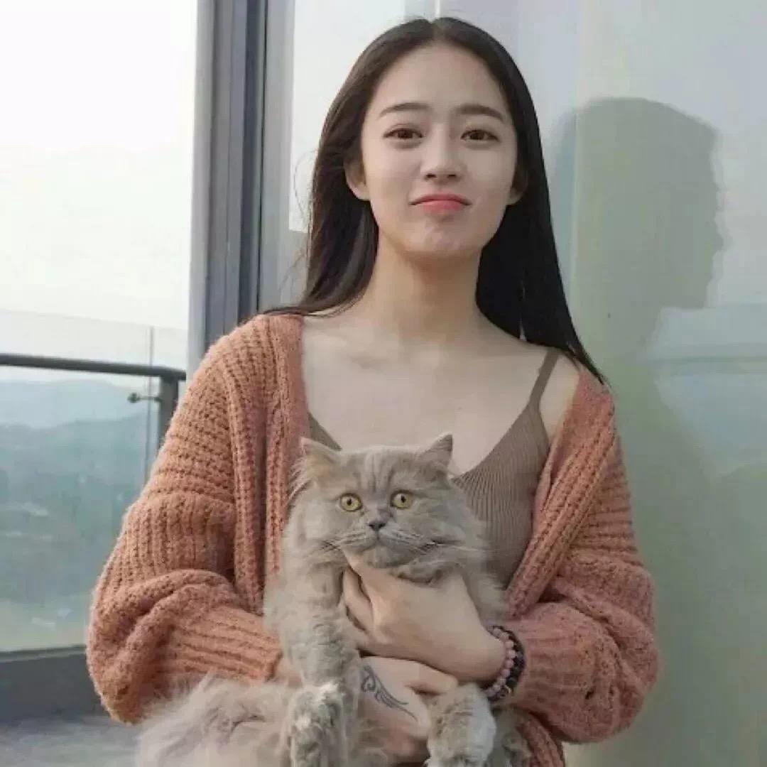 甄会玩～