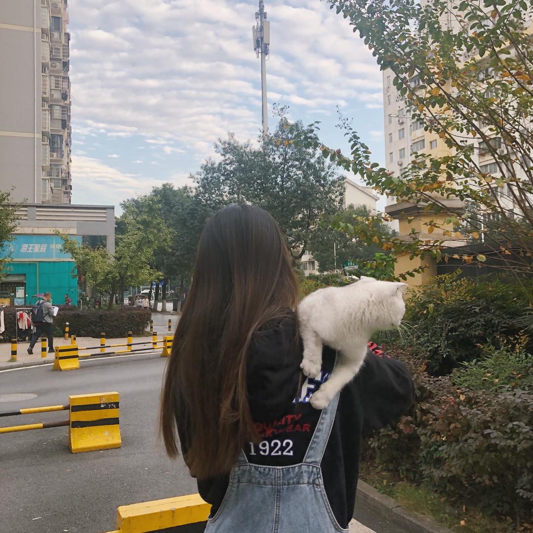 是布布呀