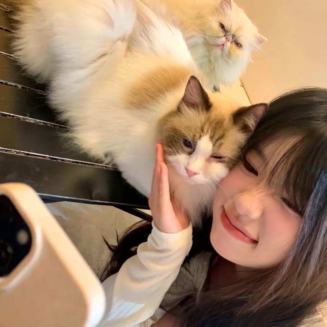 不吃鱼饼
