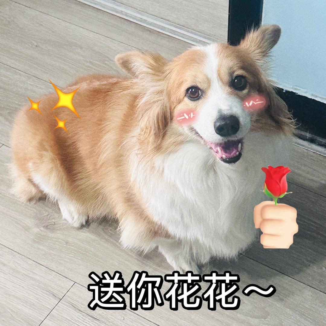 夏然同学