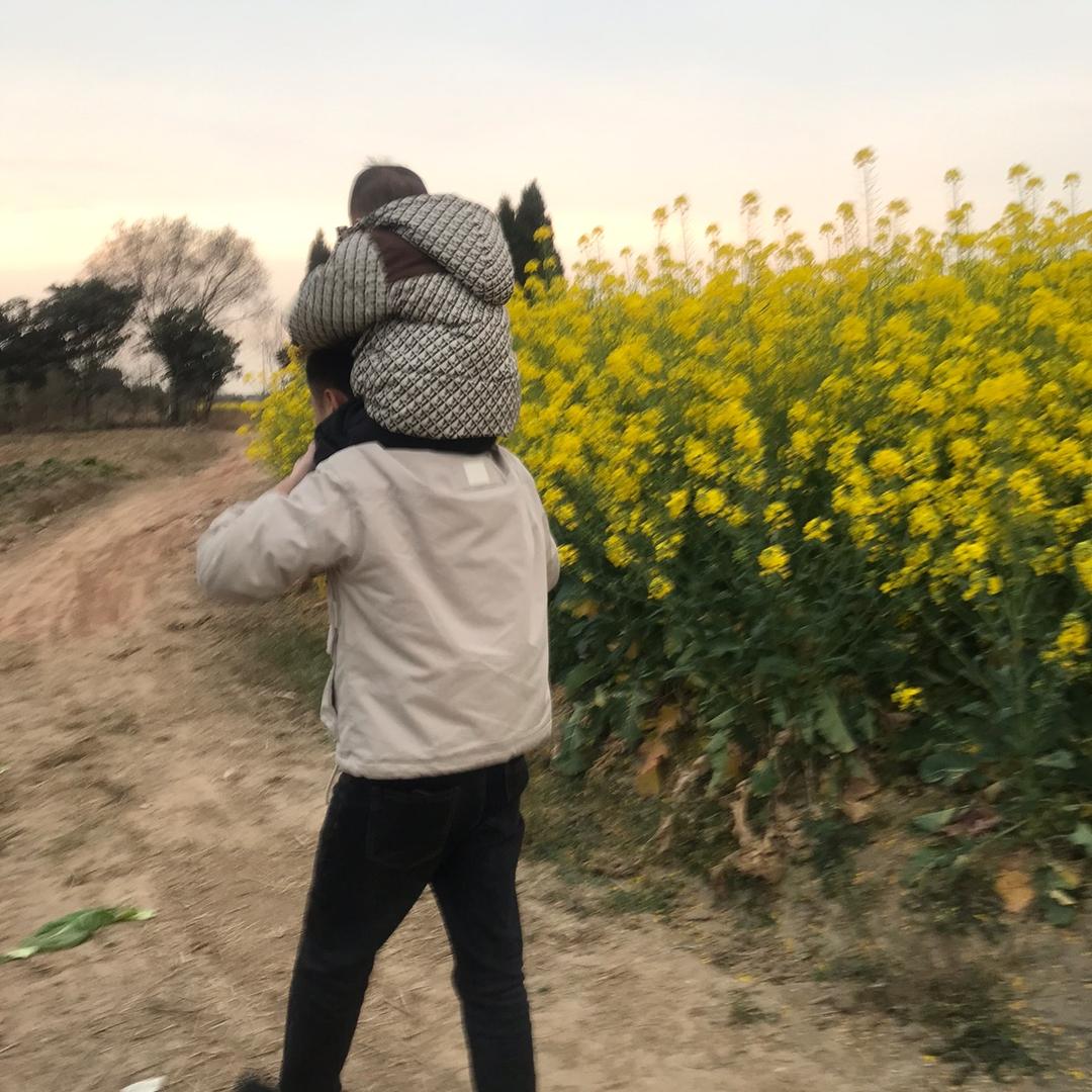 辰辰。