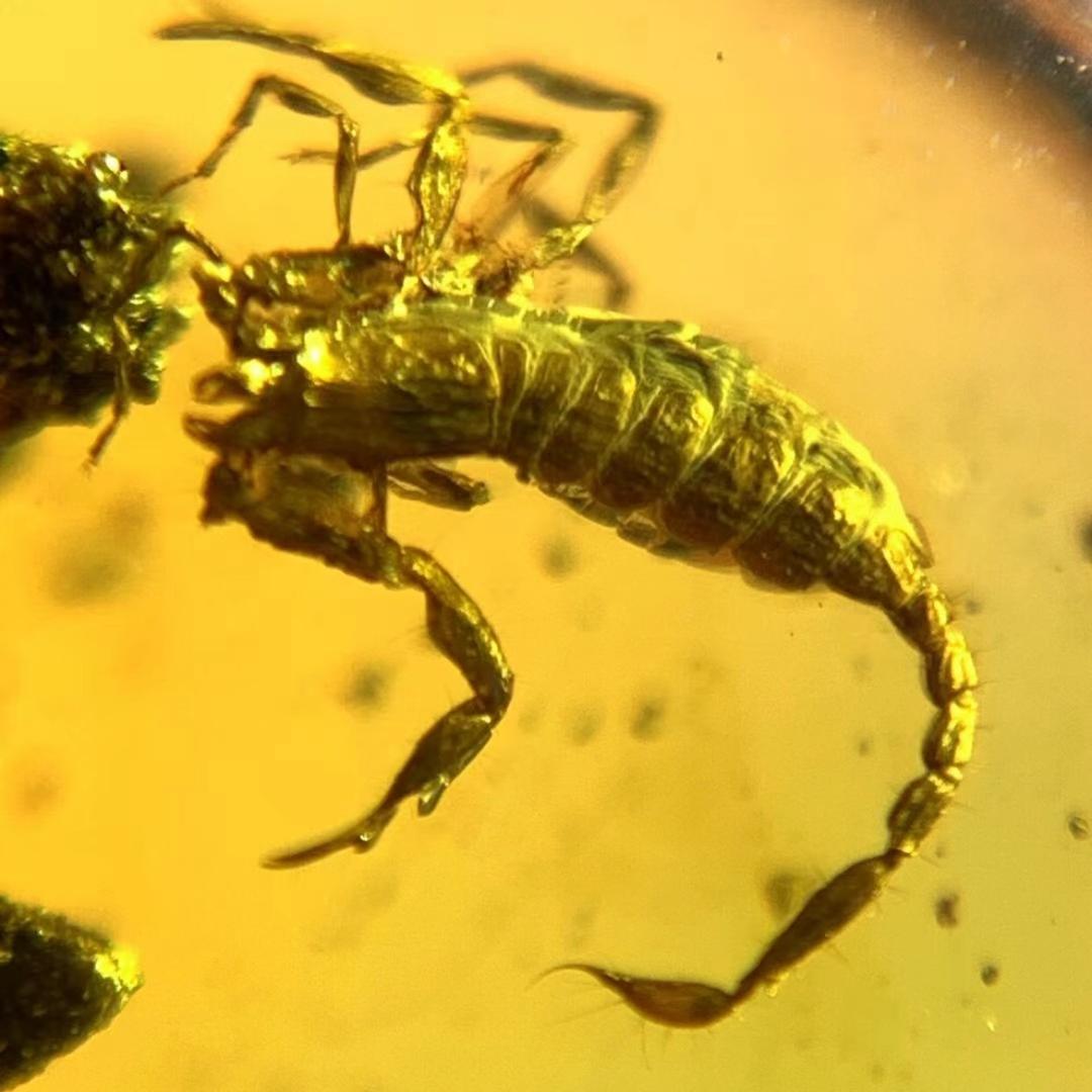 🌈白是白白的白