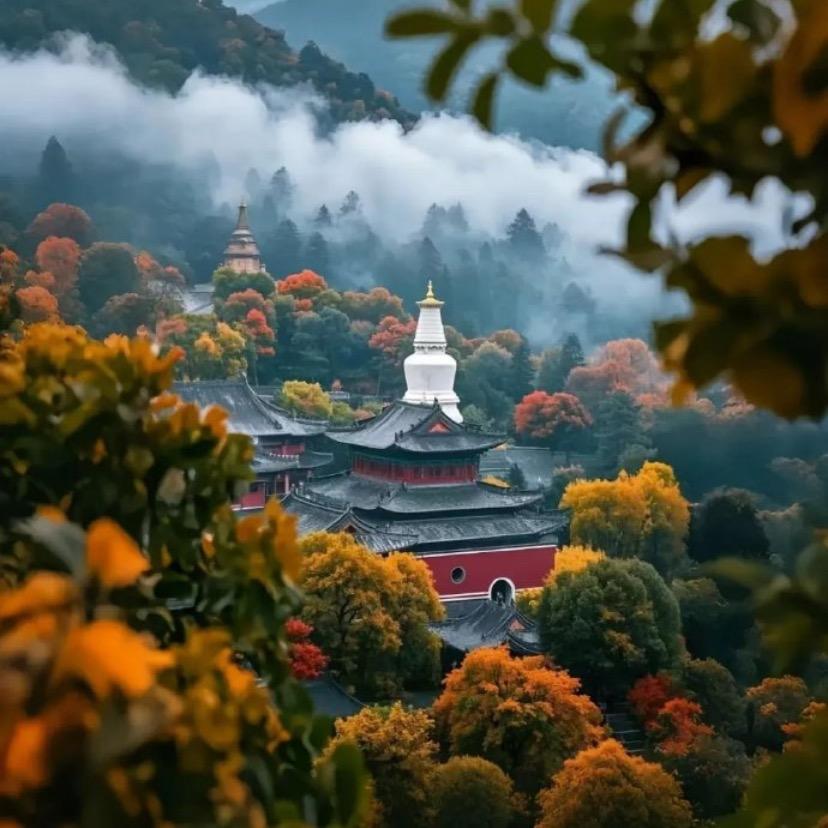 五台山🈚️愿宁
