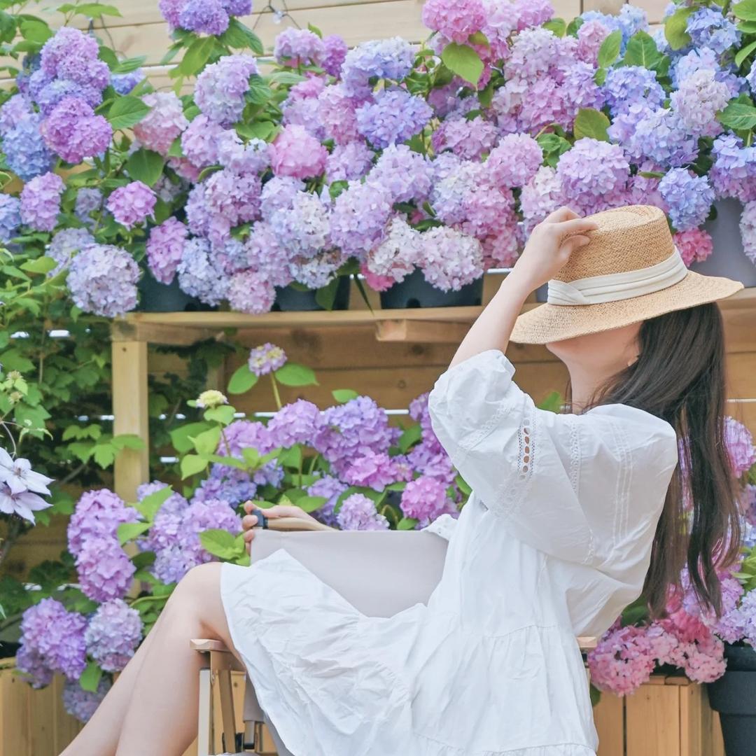 春雅花园