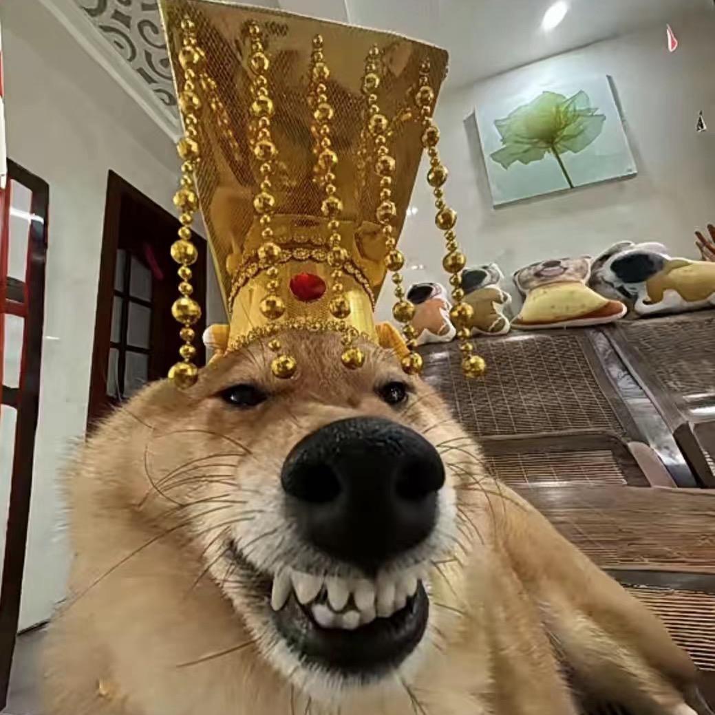 邹邹小超