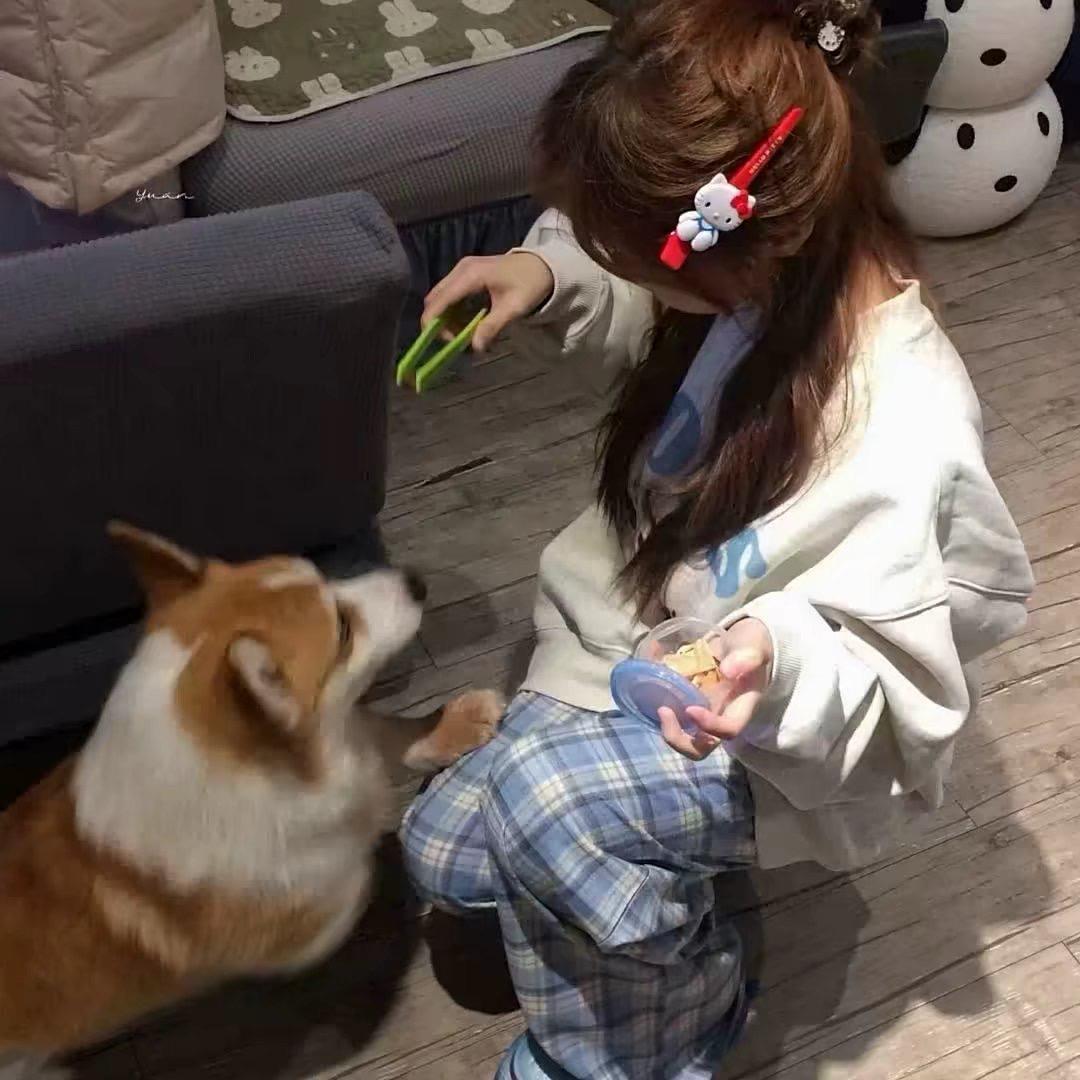 ʚ呆呆