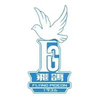 飞鸽文酷专卖店