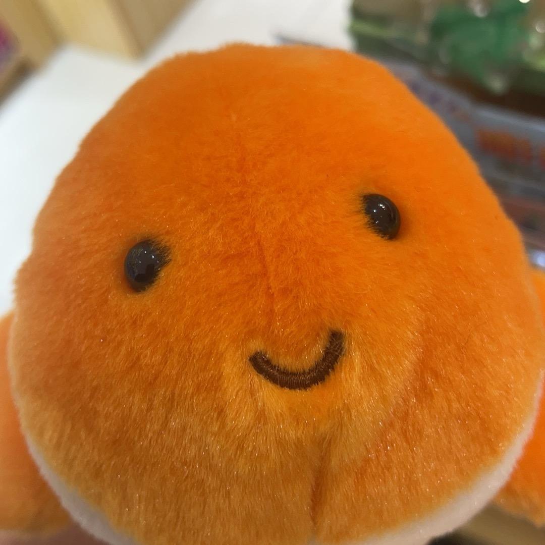 火龙果子哥