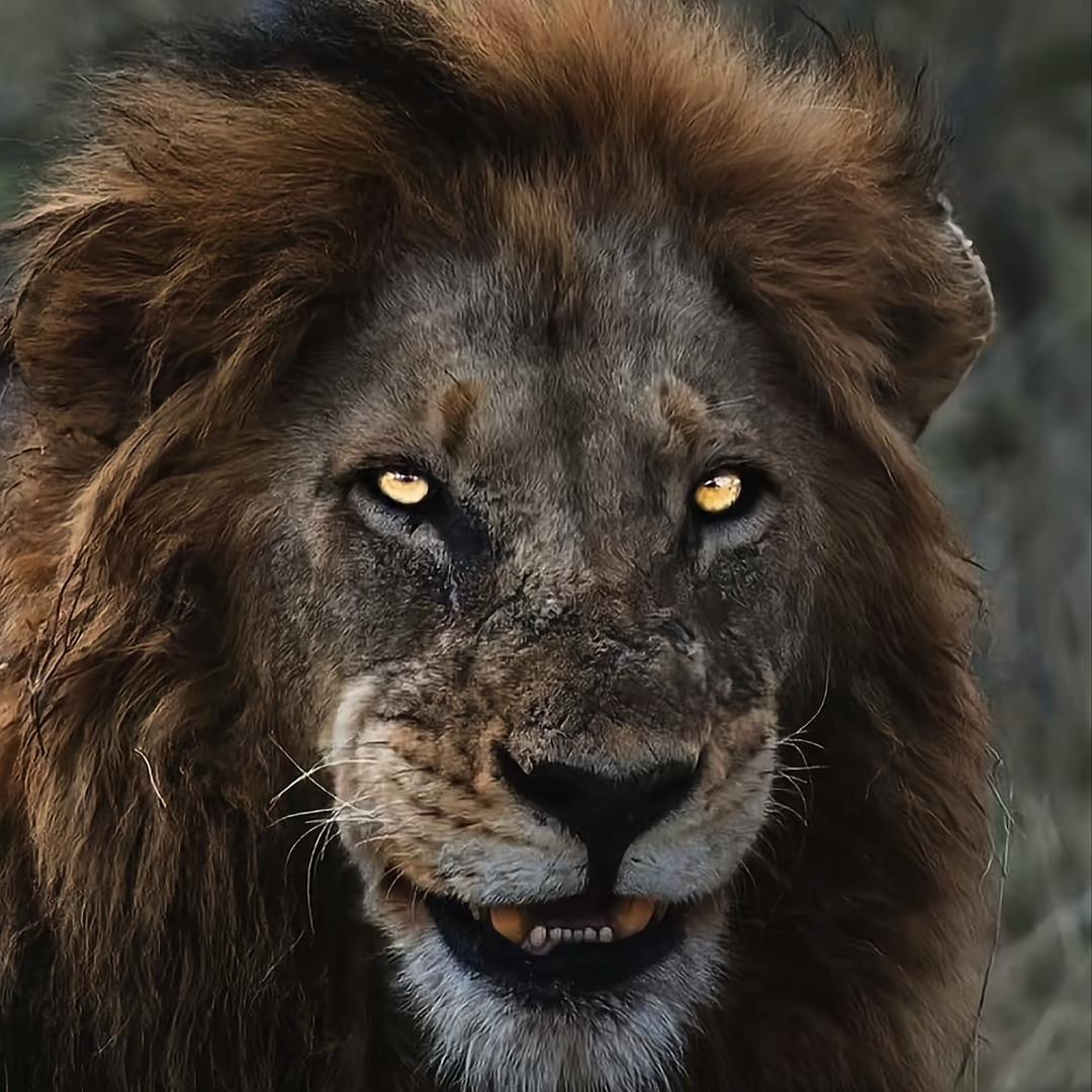 𝓡𝓸𝓫·𝓖𝓶🏹