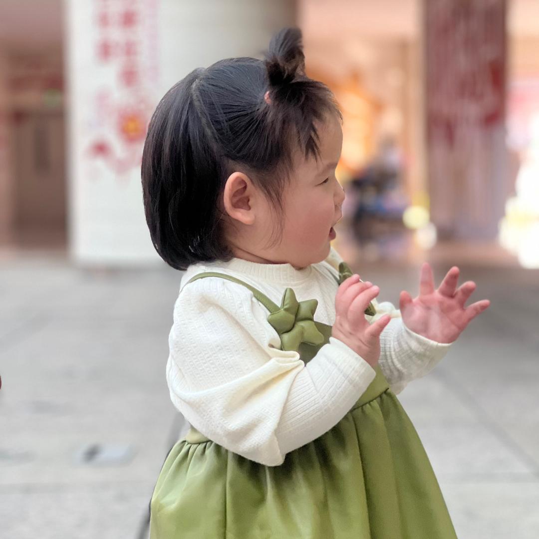 🐲的传人