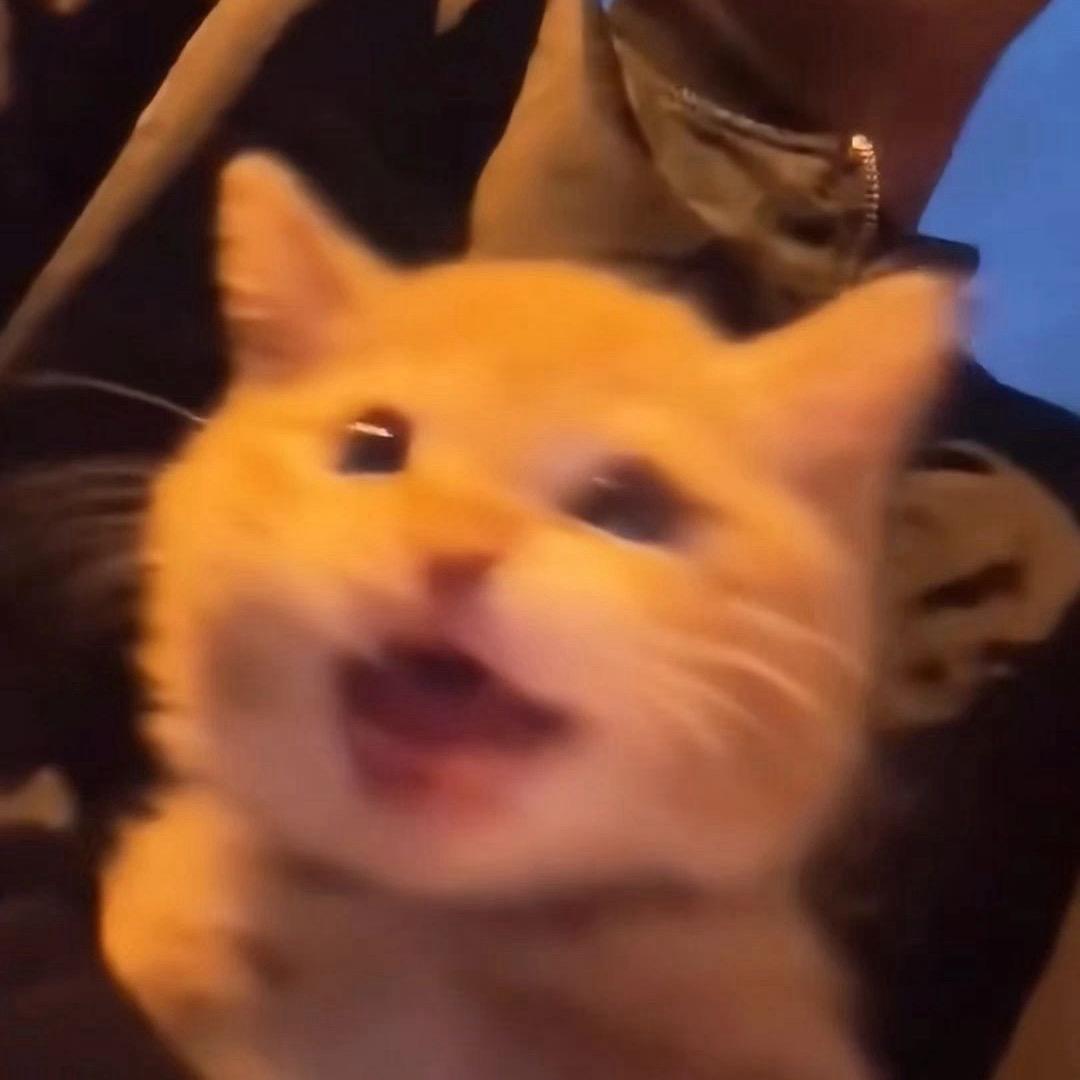 發💰財