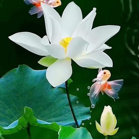 耳东口玉金金金
