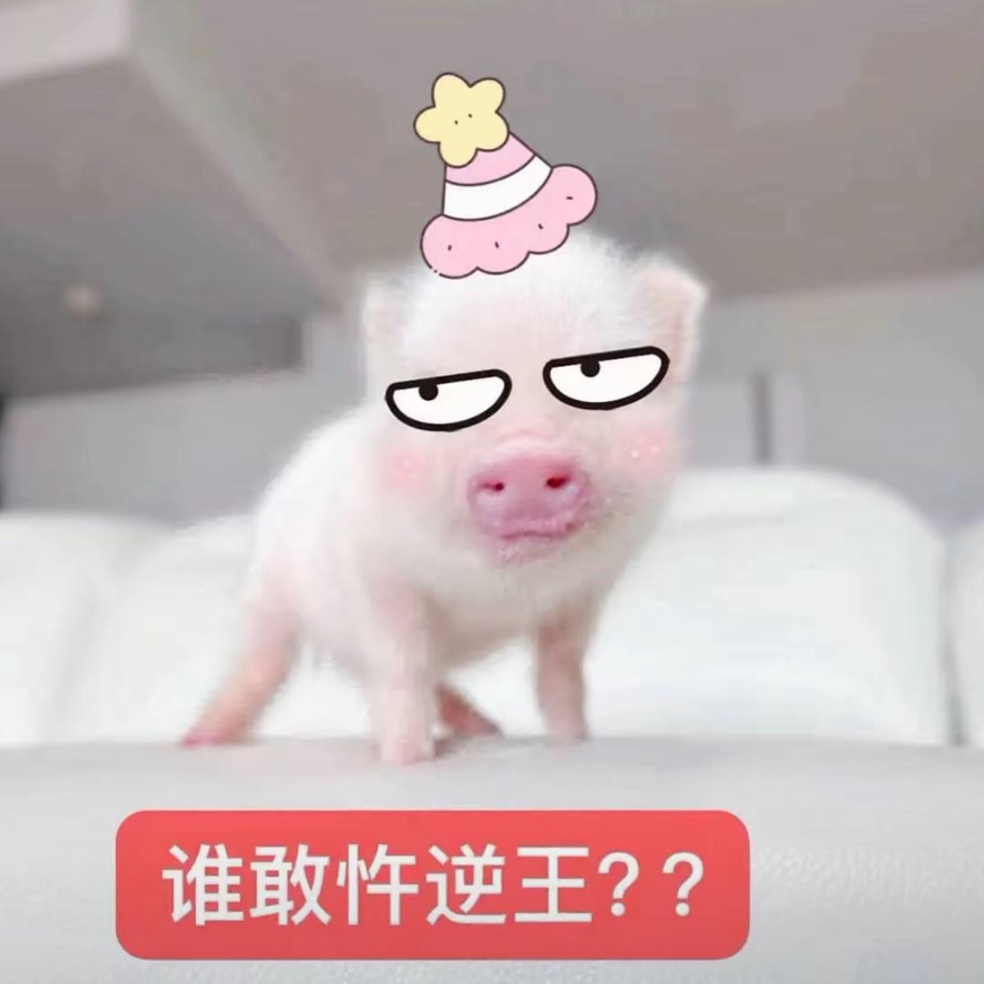 泥救了窝 窝要嫁给泥