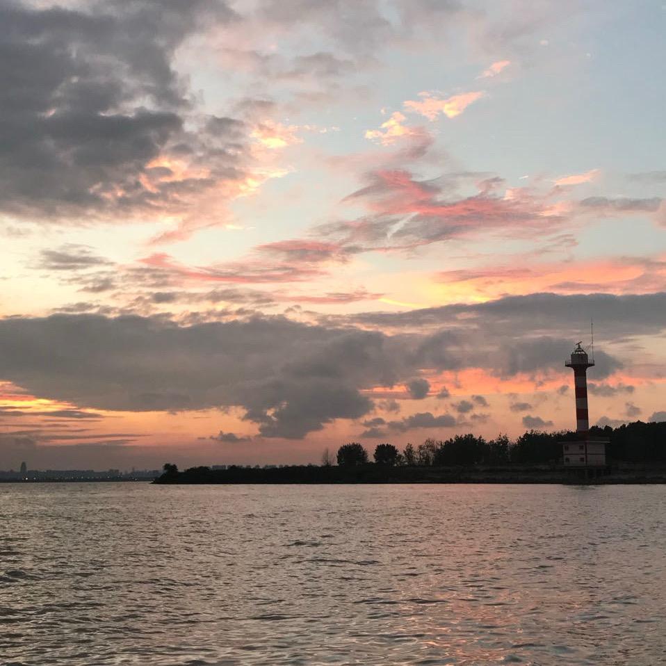 8号🚢