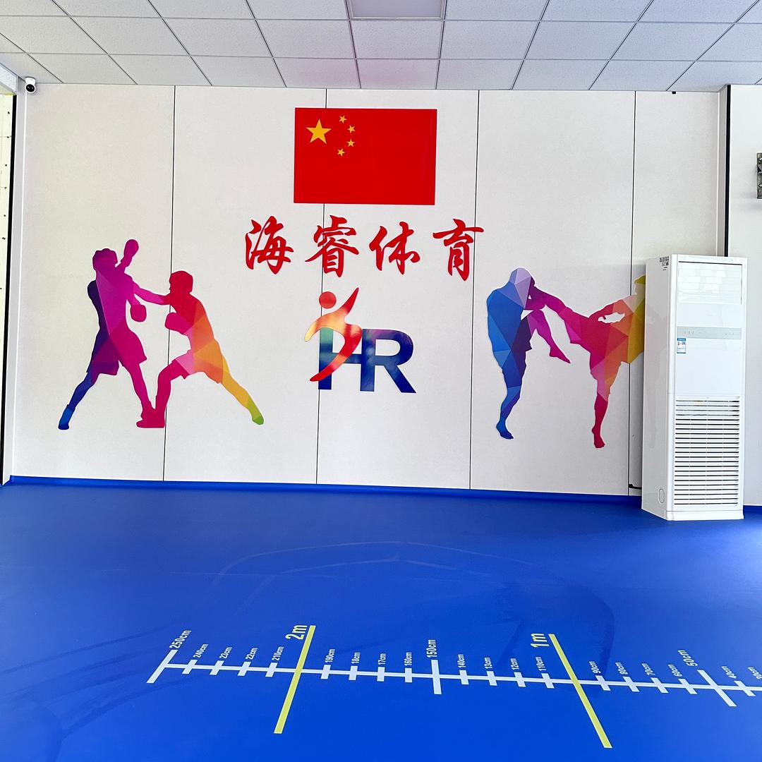 庆云海睿体育武术搏击培训