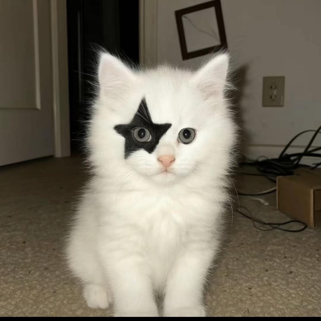 钝痛