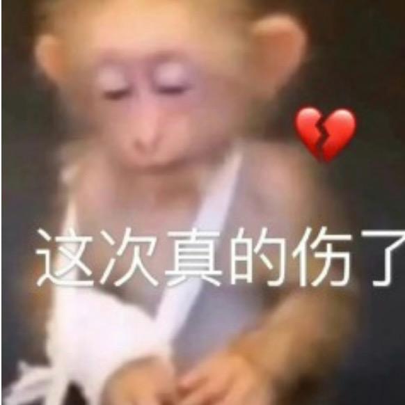 一坨史先生