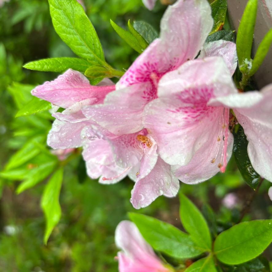 NB英利大融城UCC文小群