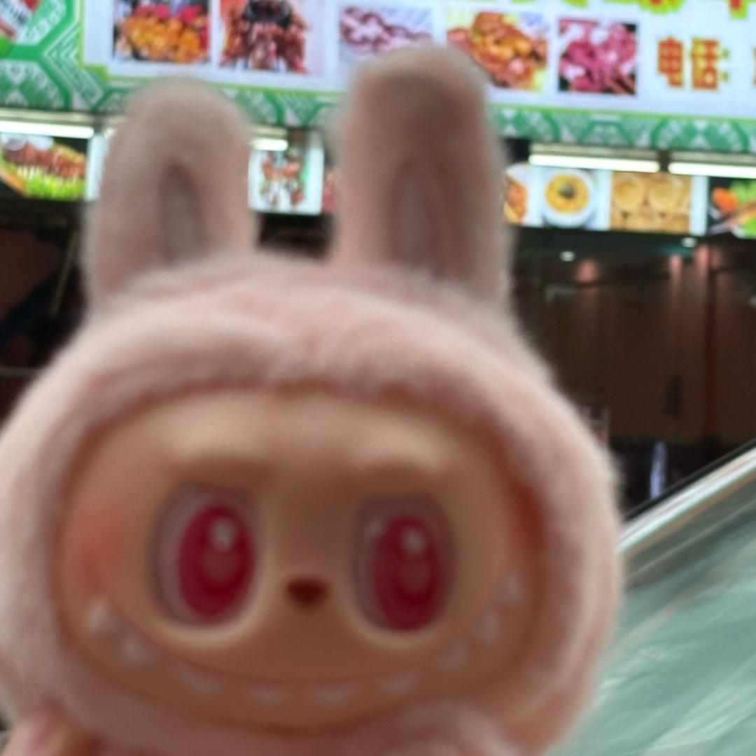 喵喵喵喵