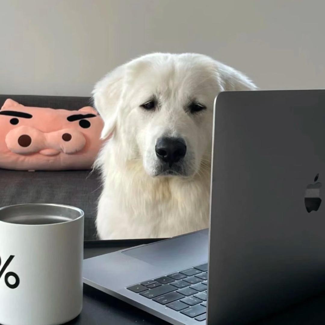 小糖人