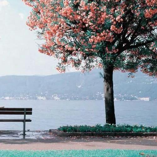 洛阳小超做柜子l哇塞的很🔥