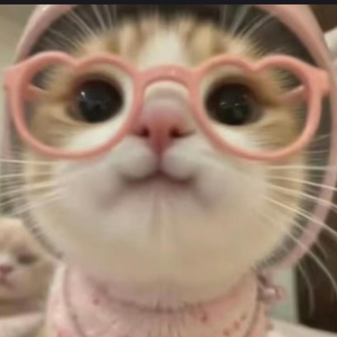 苒