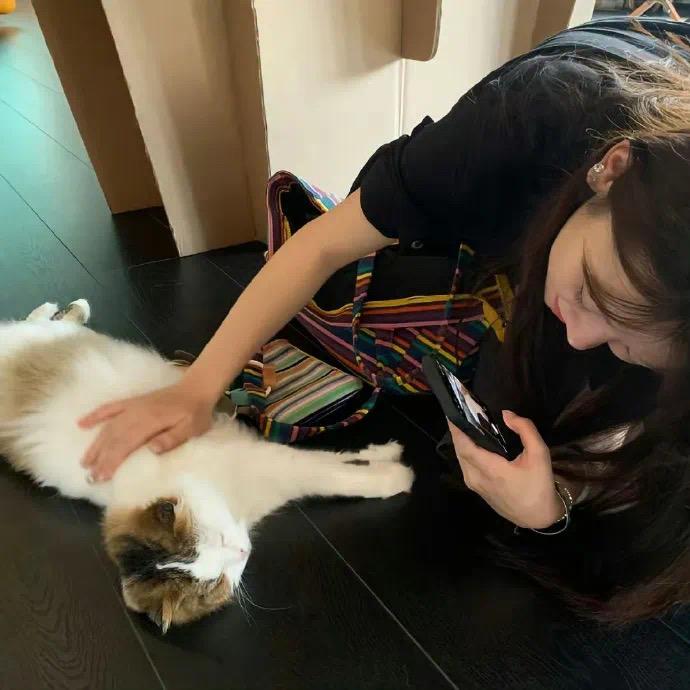 ¹条咸鱼