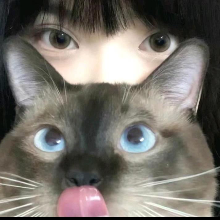 芒果炒牛肉k^
