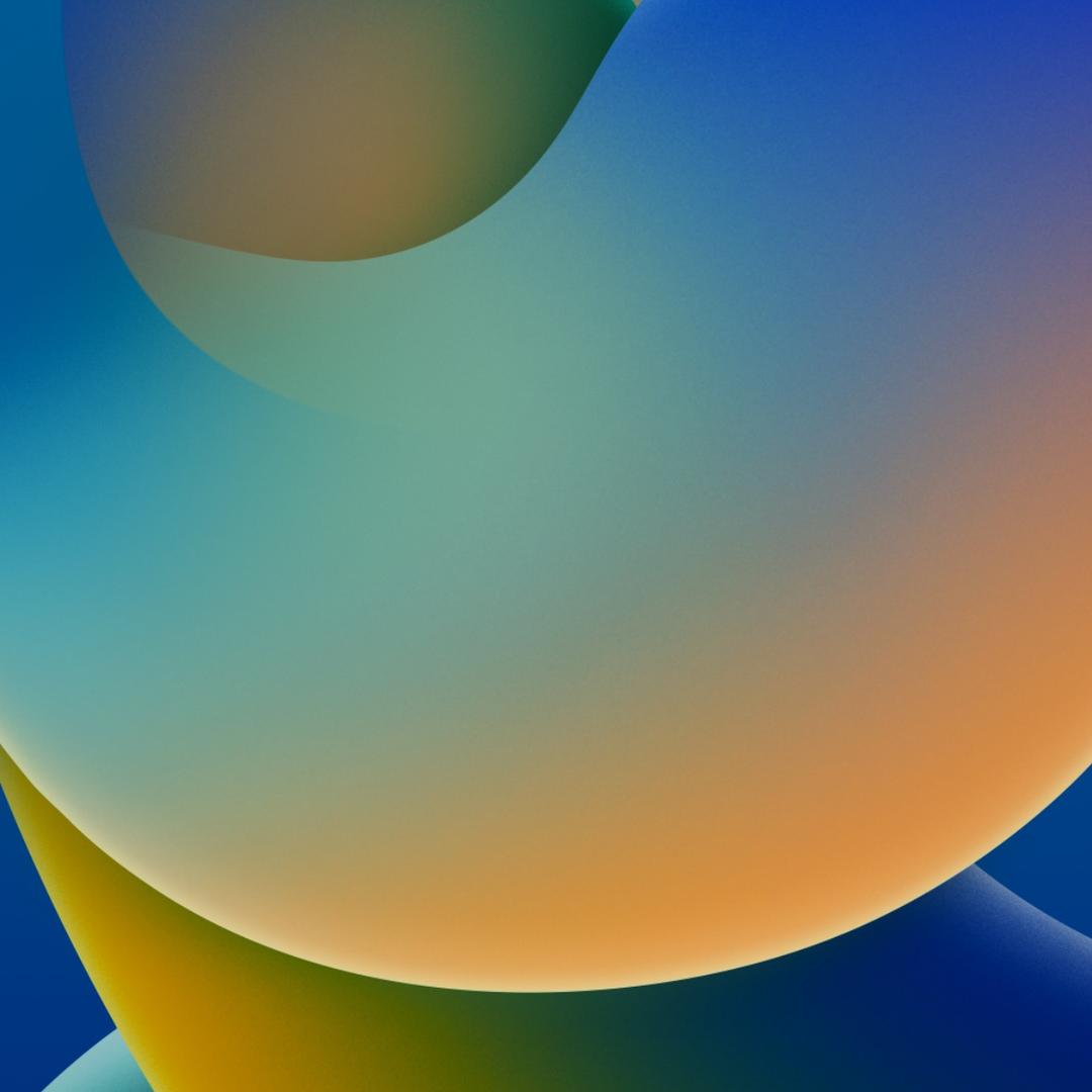 留恋袜子袜业的头像