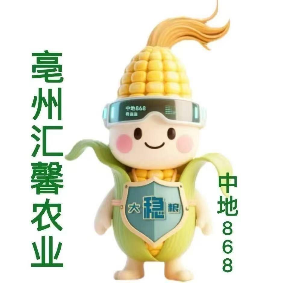 大稳粮中地868汇馨农业-黄孟丽