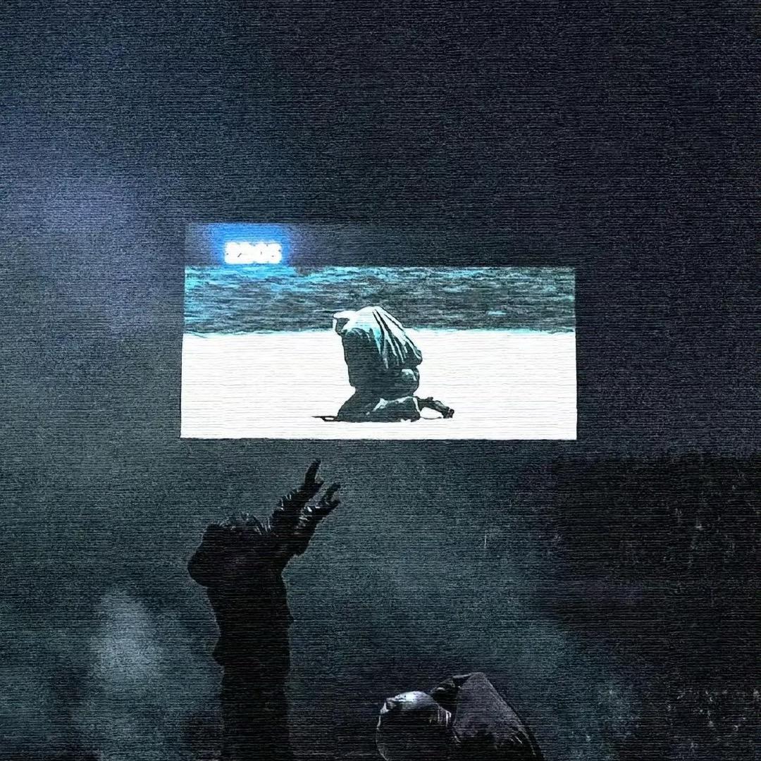 InDigo🐻💥