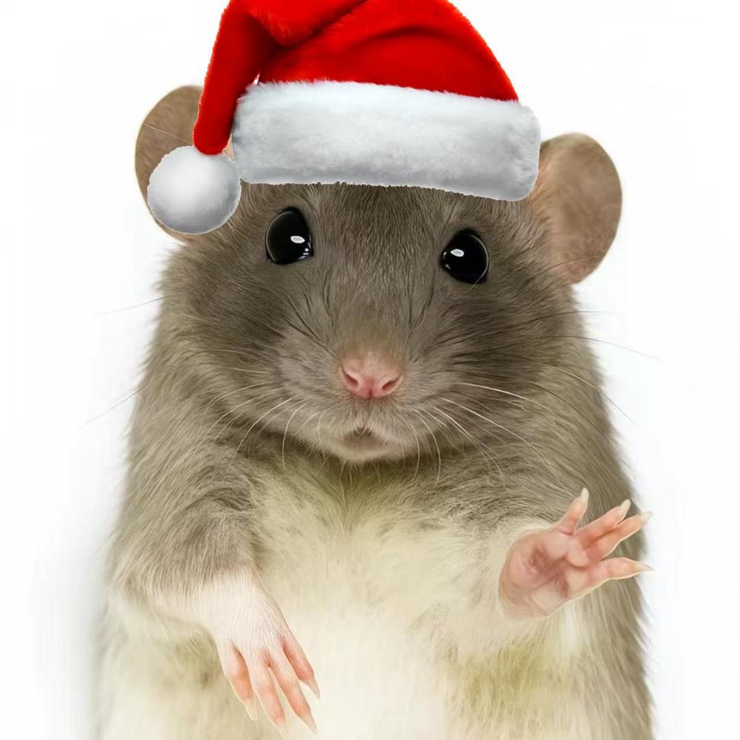 童脸狼你崛起吧！