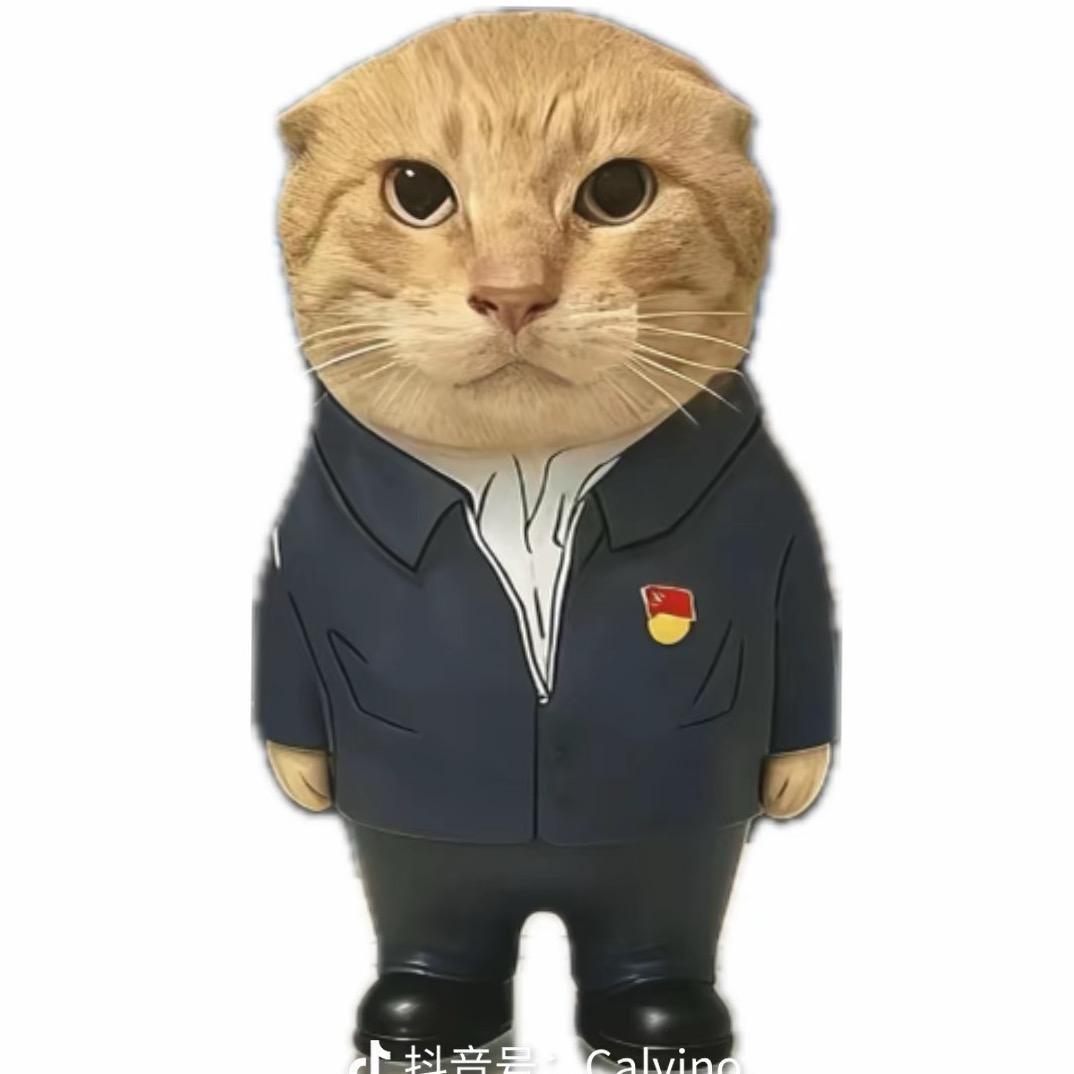 飞翔的大野猪