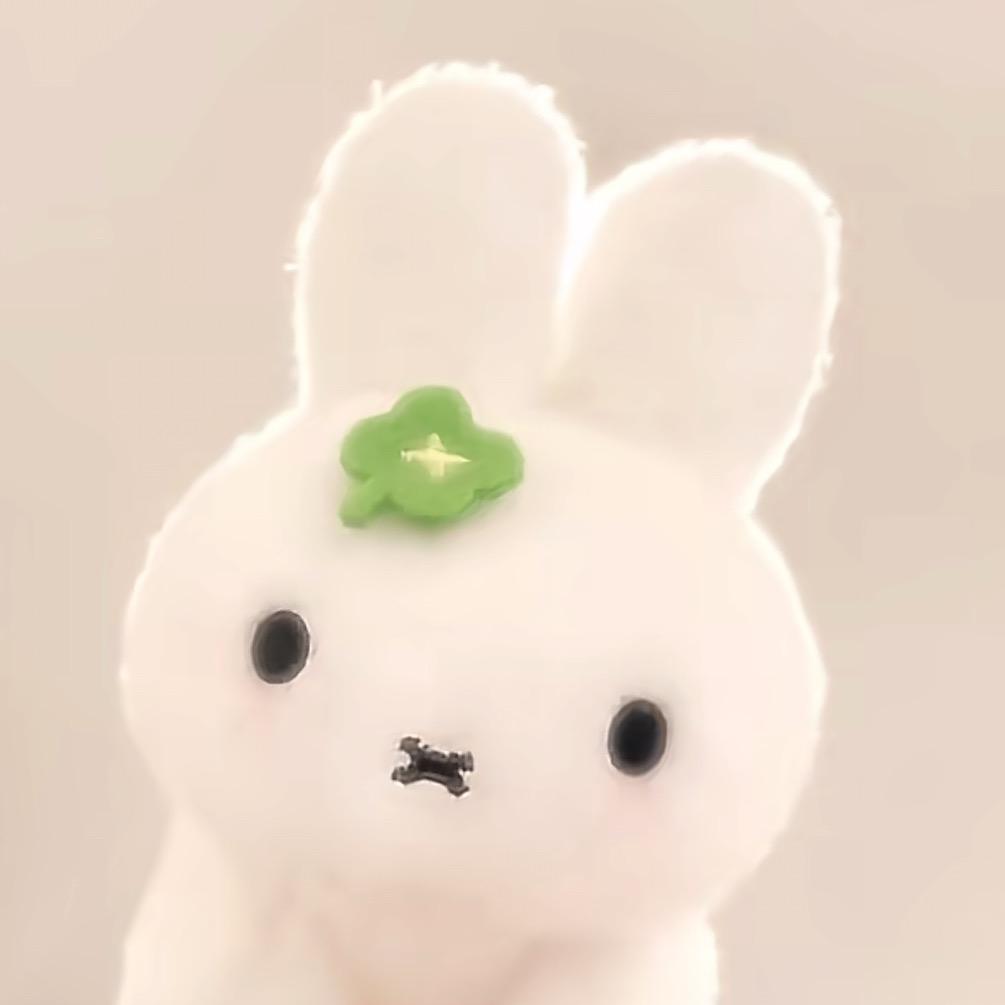 🍀Clover Bunny 🐰