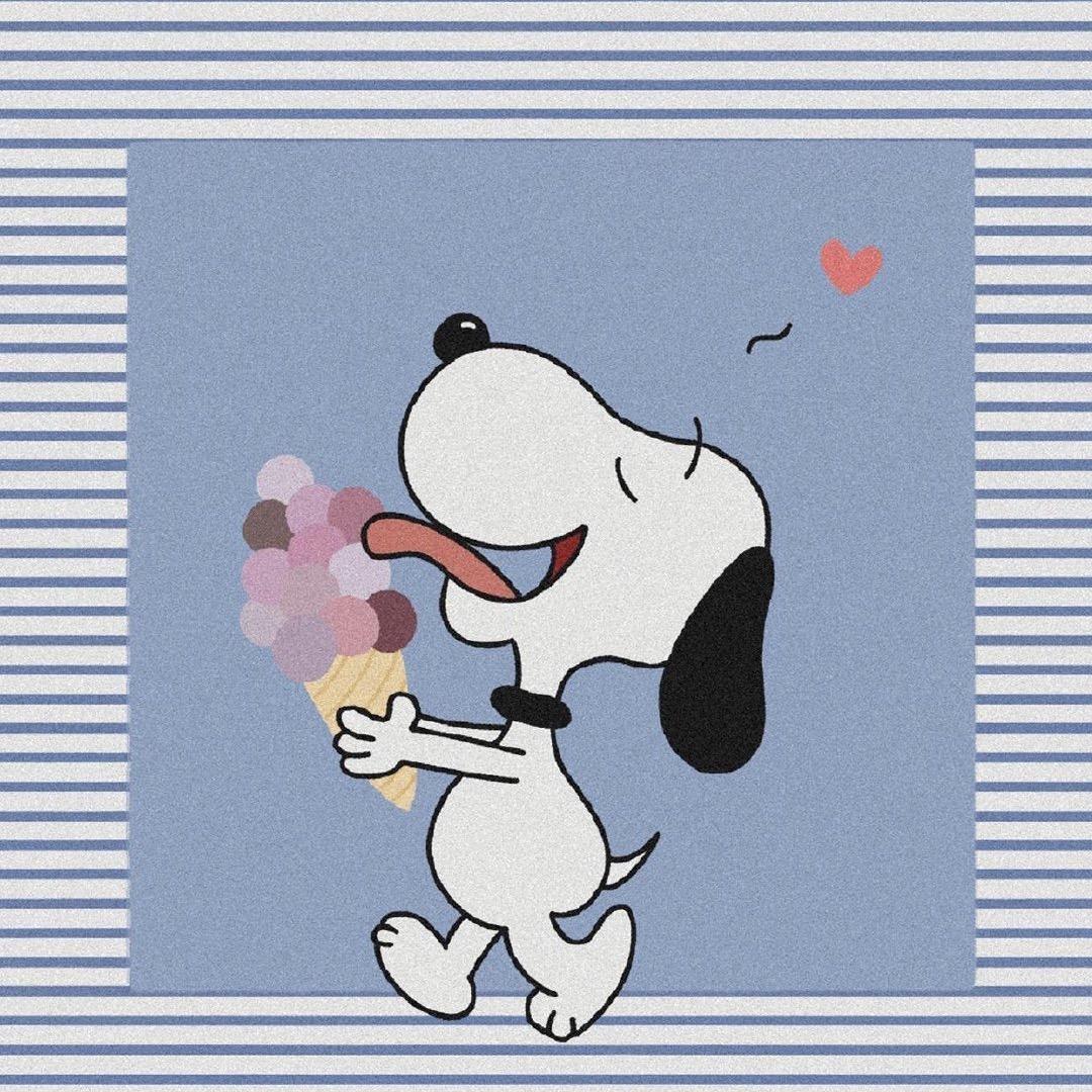 可可爱爱小王子