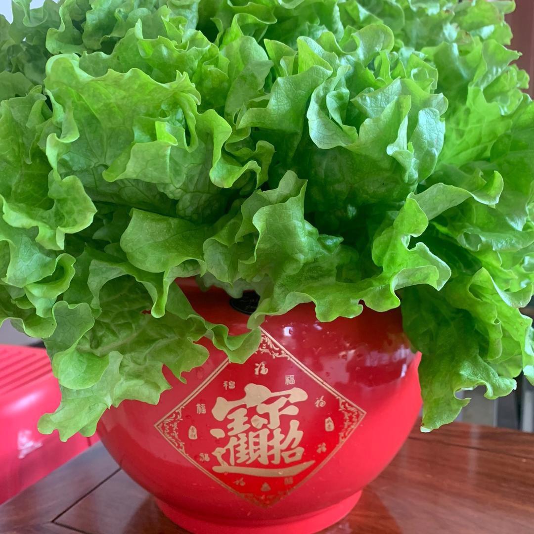 万隆粗布家纺有限公司