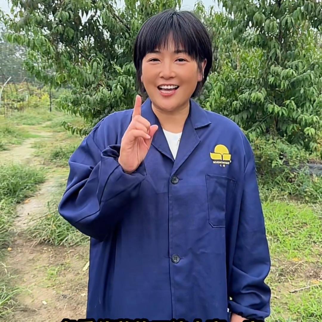 大沙河桃子姐妹二姐（陈香）