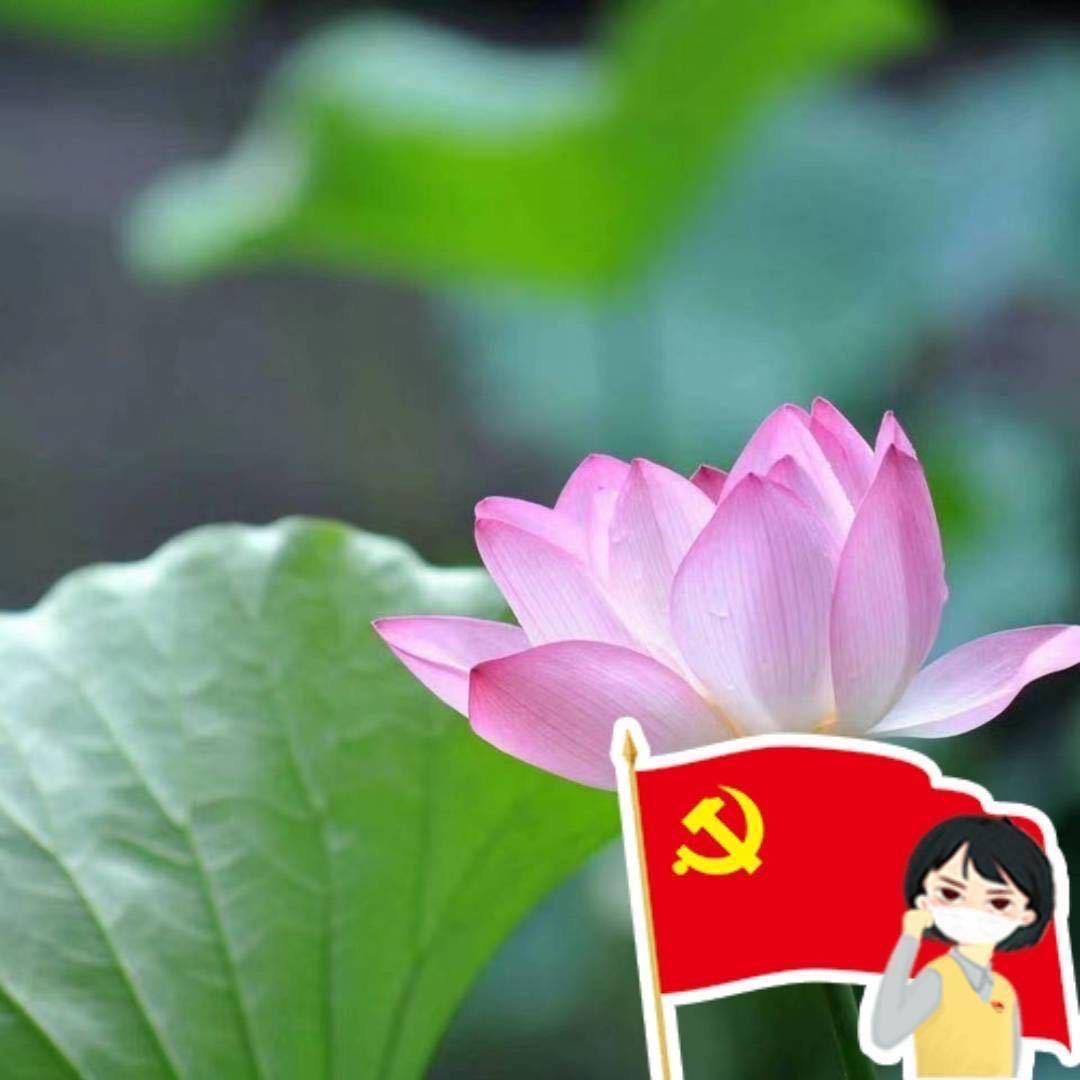 70后村干部张会玲