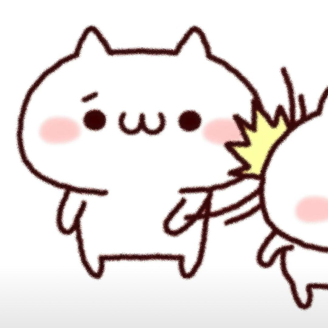 小辰大王ovo