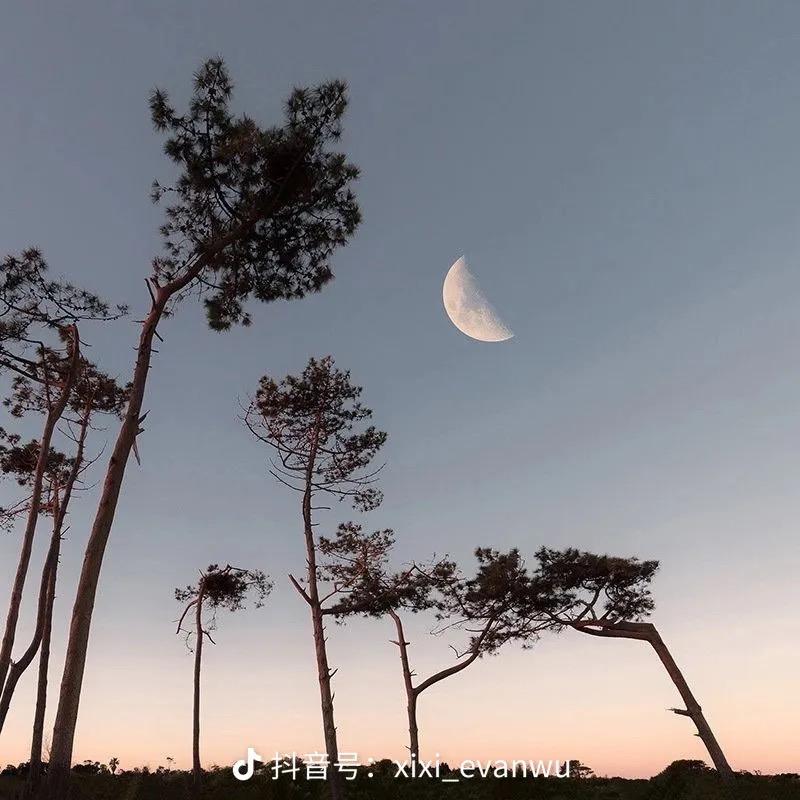 为云朵摘月亮🌙