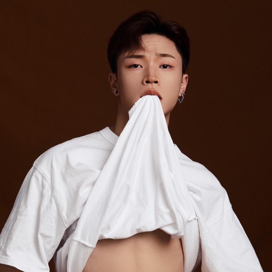 laur小龙