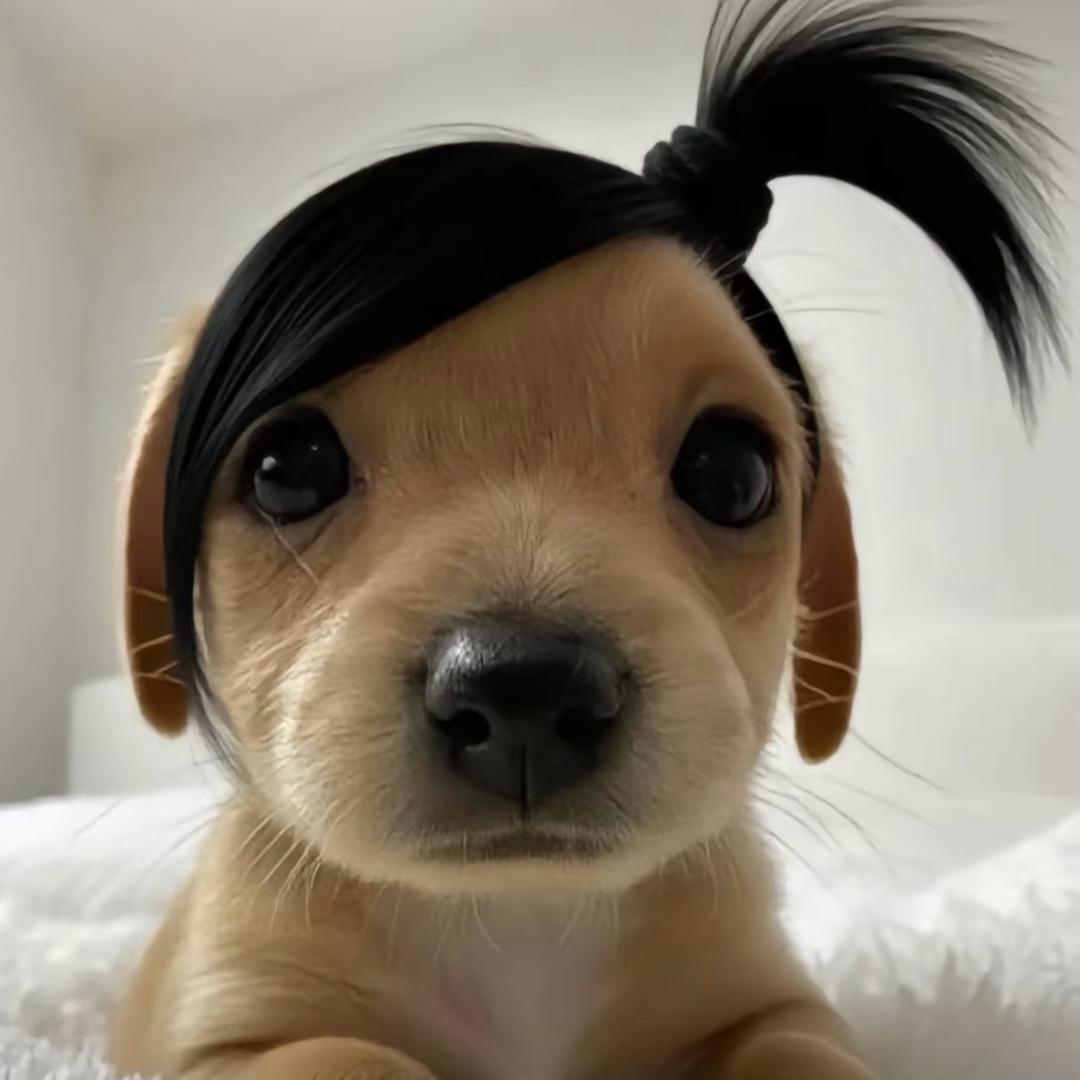 叉叉恩