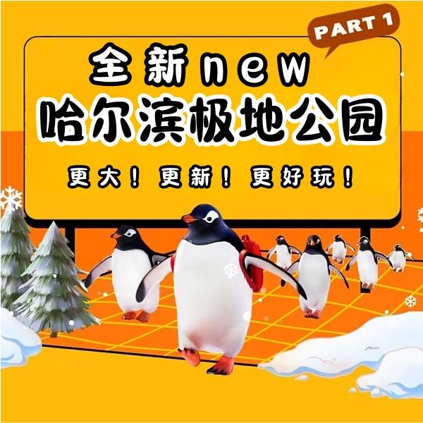 哈尔滨乐乐🐳（十一预售）