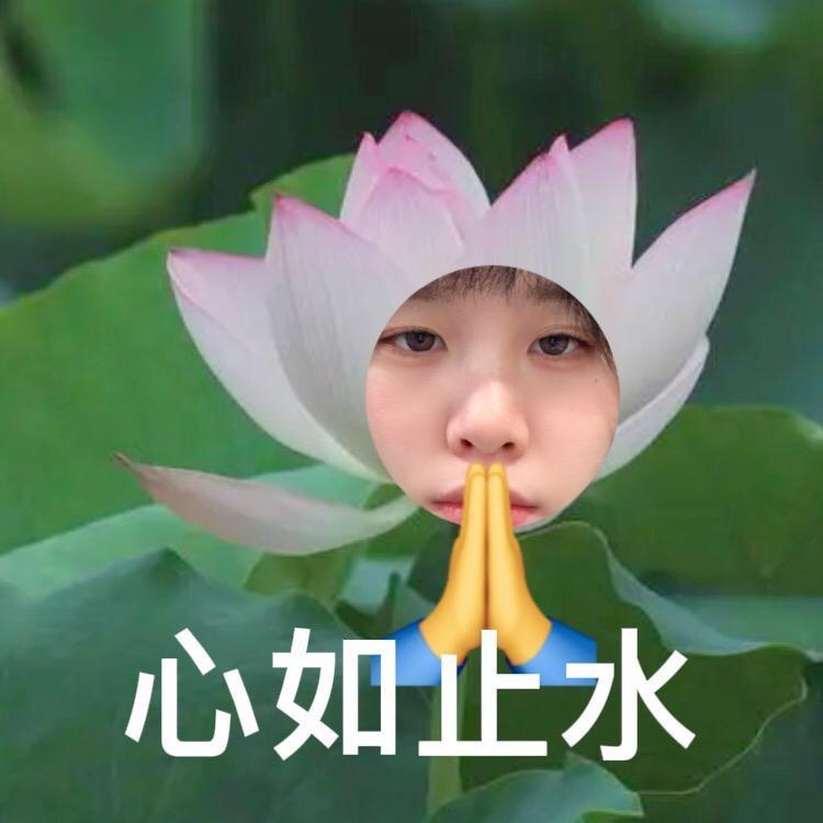 大力阿瑶（冲万粉揪样衣！）