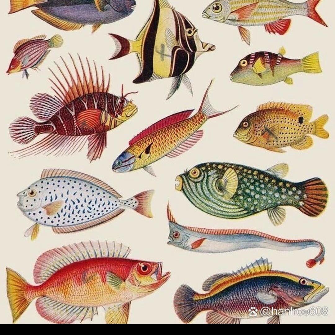 重庆万州谦华鱼苗养殖场