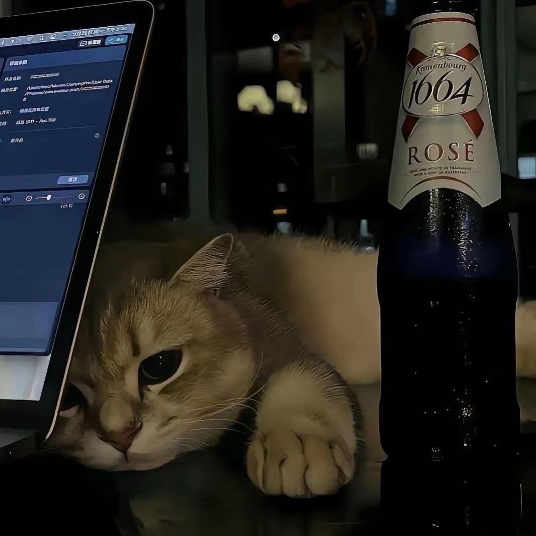 橘猫