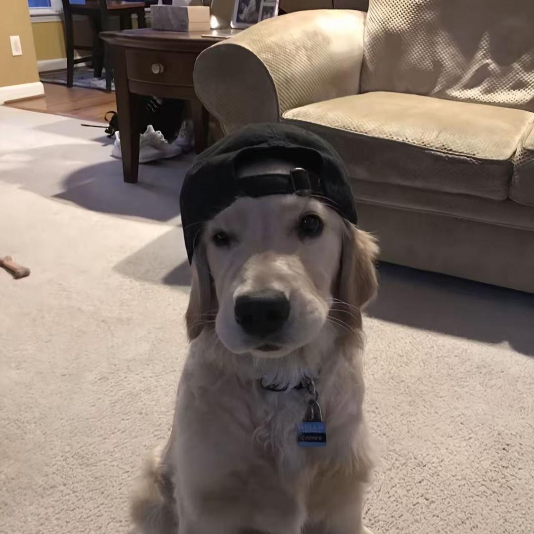 nnnnnc