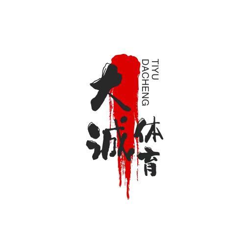 深圳市大诚体育发展有限公司
