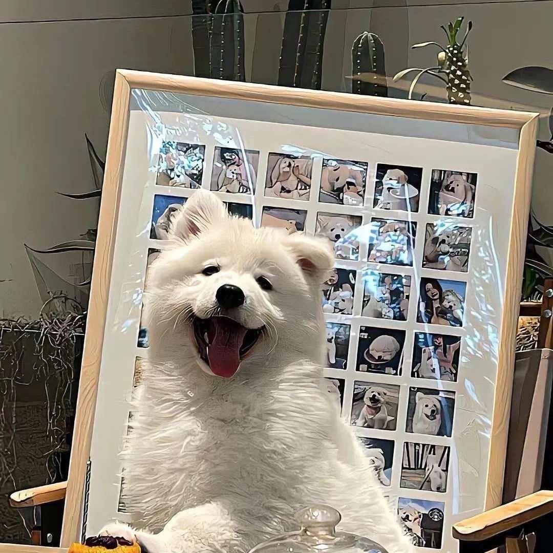 揪1️⃣